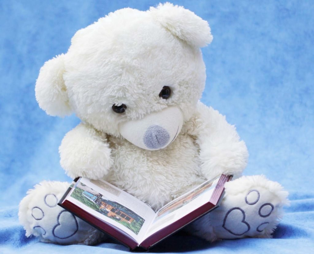 a teddy bear reading book