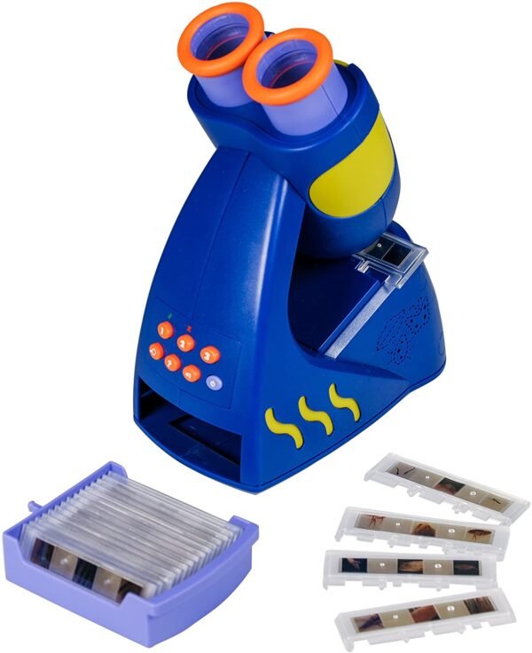 Microscope Slides for Kids