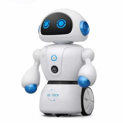 Wireless Interactive Robot